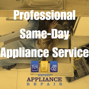 Professional Same Day Appliance Service